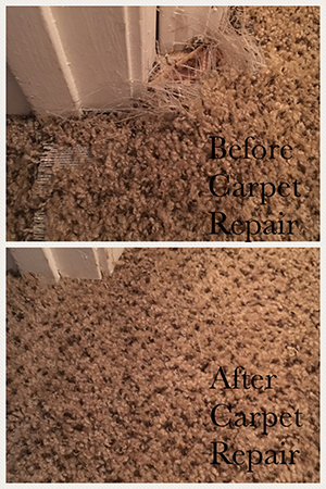 carpet-repair