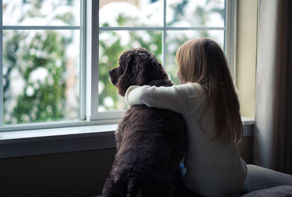 Sanitize your carpets from pet accidents