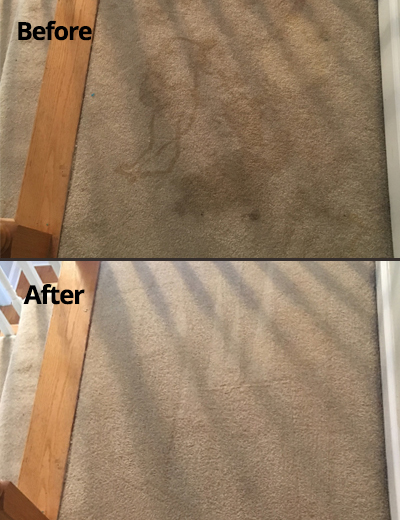 Before and after shot of carpet cleaning