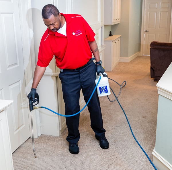 Owner spraying carpet