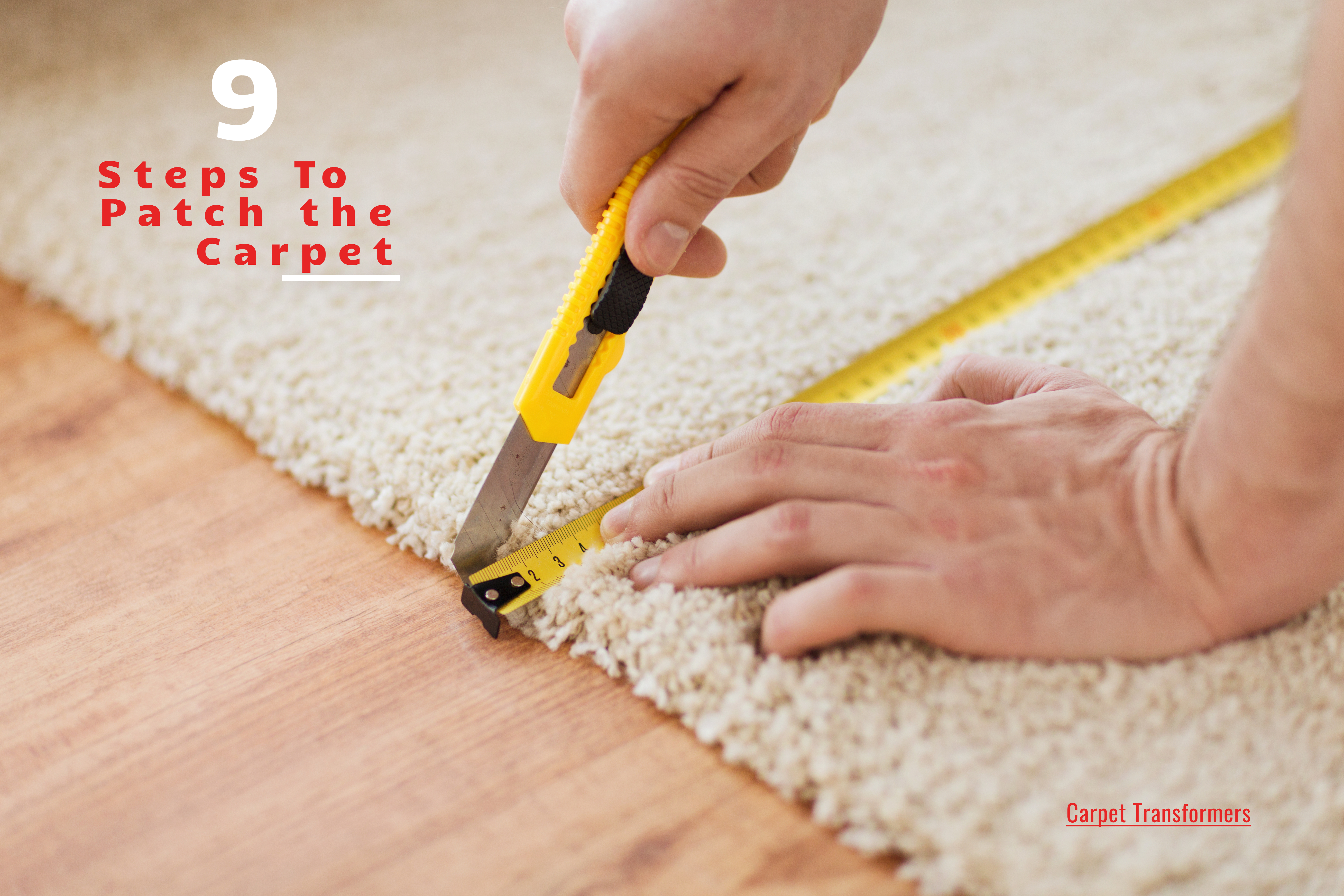 9 Important Steps For Carpet Repair At Home Patch Cleaning Grayson Duluth Dacula Buford Lawrenceville Ga