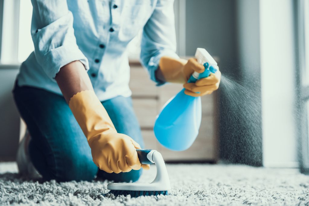 Carpet Brush to Clean