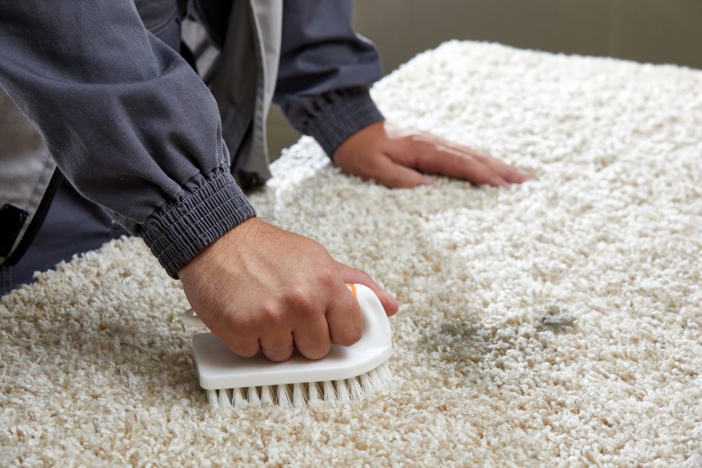 9 Important Steps for Carpet Repair at Home