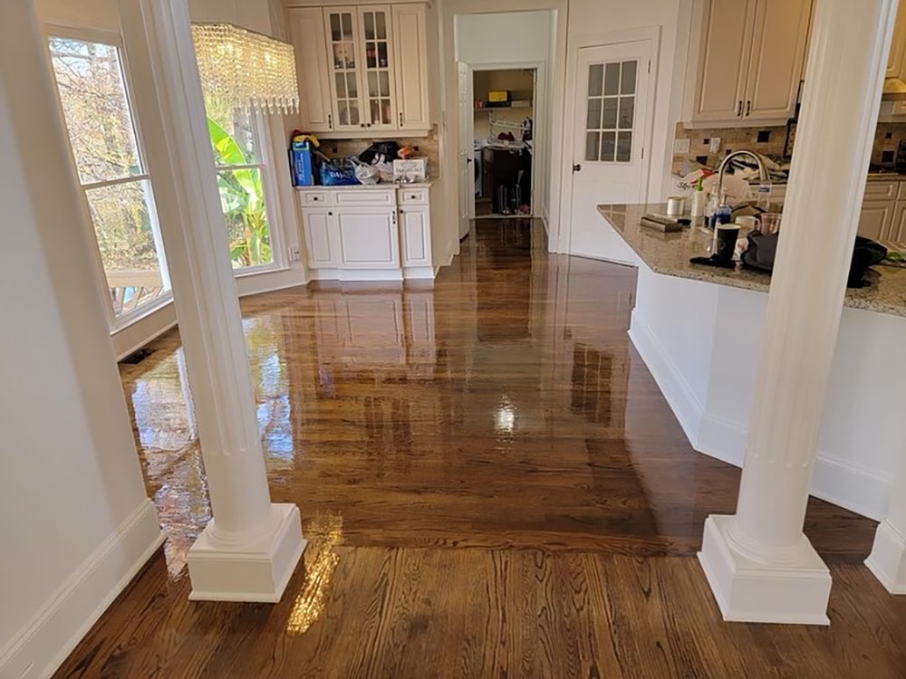 Re-polished floors