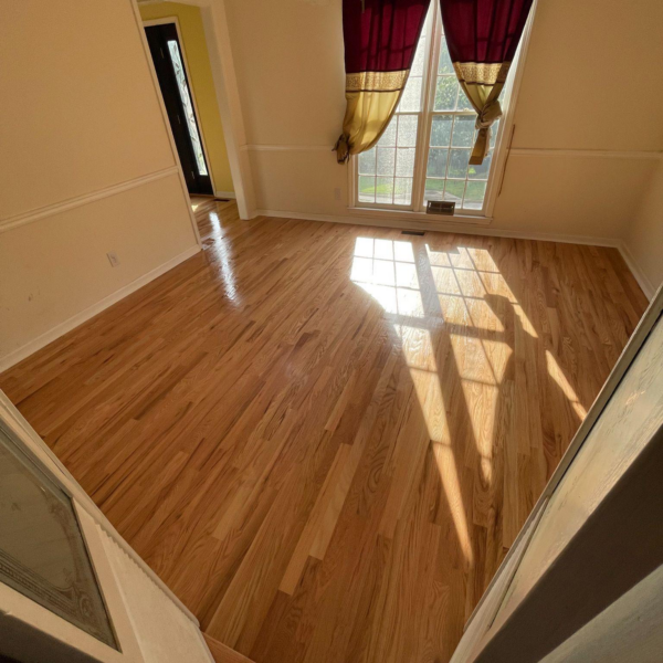 This photo shows sunlight in a room with hardwood flooring